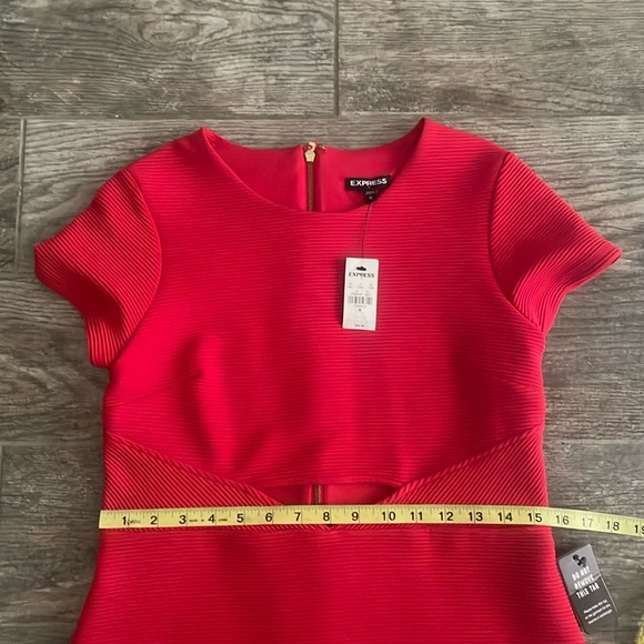 Express Dress - Picture 3 of 7